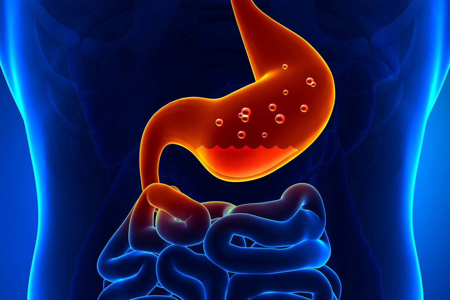 Healthy bowl of vegetables &mdash; gastritis and digestive health